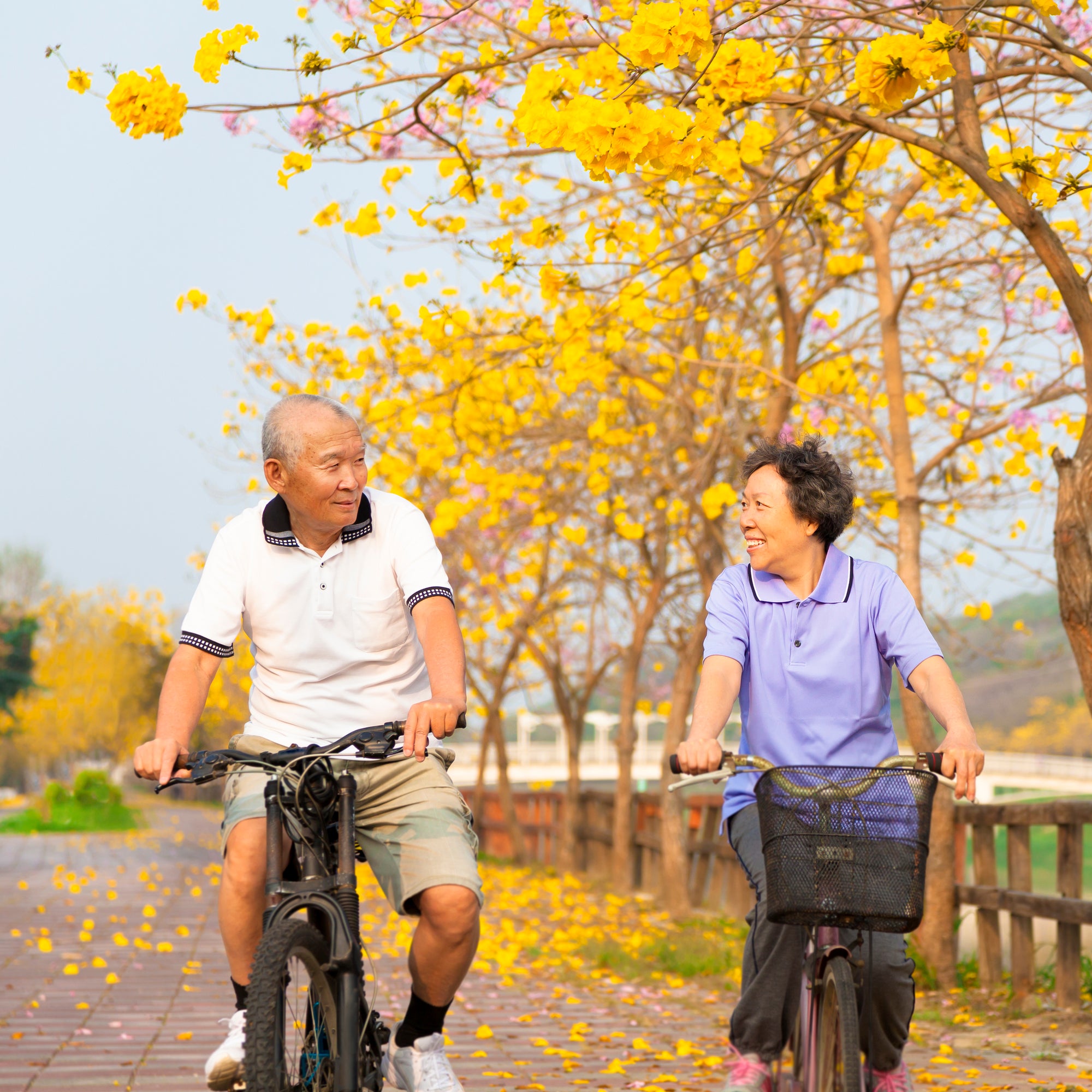 8 Tips For Senior Cycling