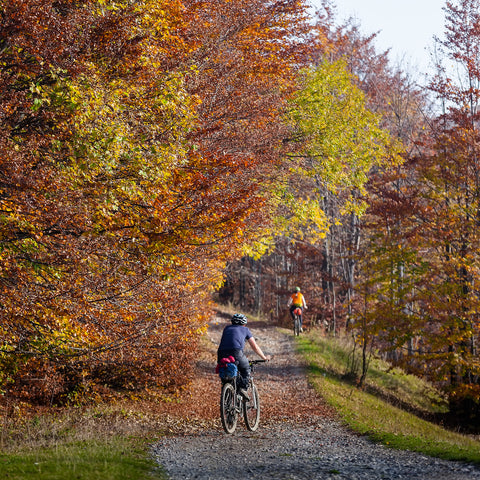 Biking Washington, DC: The Area’s Best Bike Trails