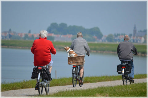 Are Electric Bikes Good For Senior Citizens | E-Bikes Questions