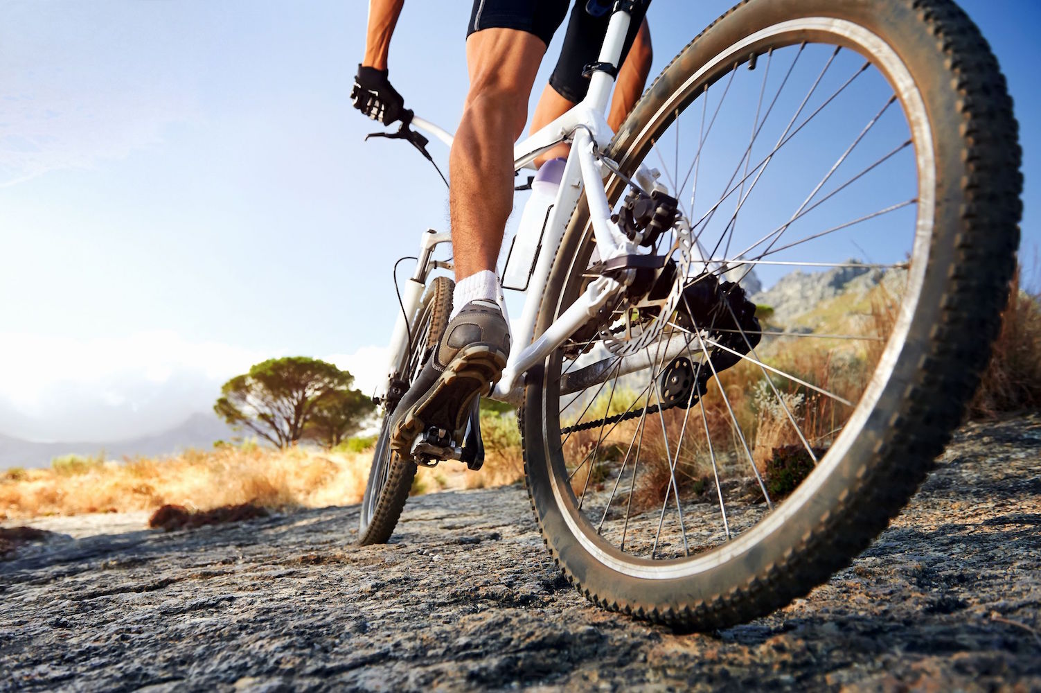 Bikes for Athletes