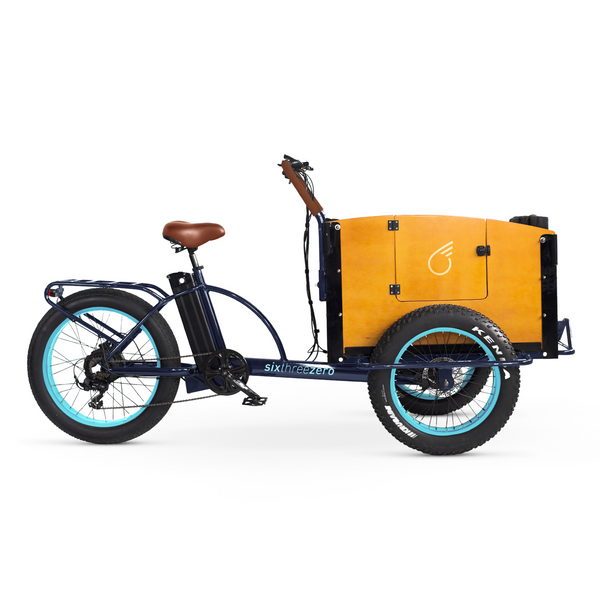 EVRYjourney Family Cargo ETrike 1000w