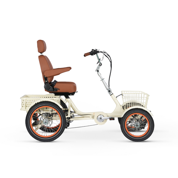 Simple Glide 4 Wheel 750w EBike