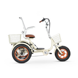 Simple Glide Dual 750w, Max 1500w, Dual Battery, Total 30ah