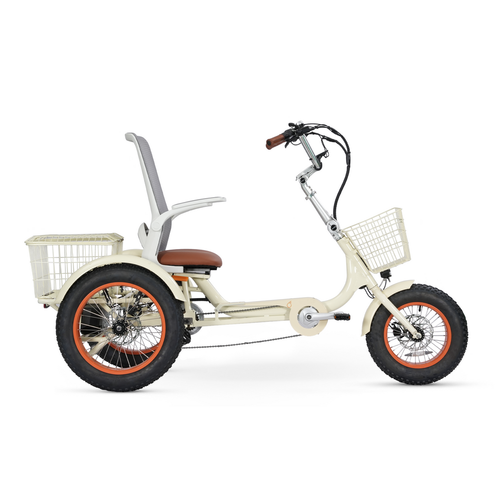 Simple Glide Laid Back 750w Recumbent ETrike