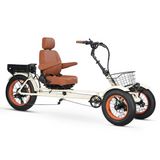 Simple Glide Reverse Trike Recumbent 750w ETrike
