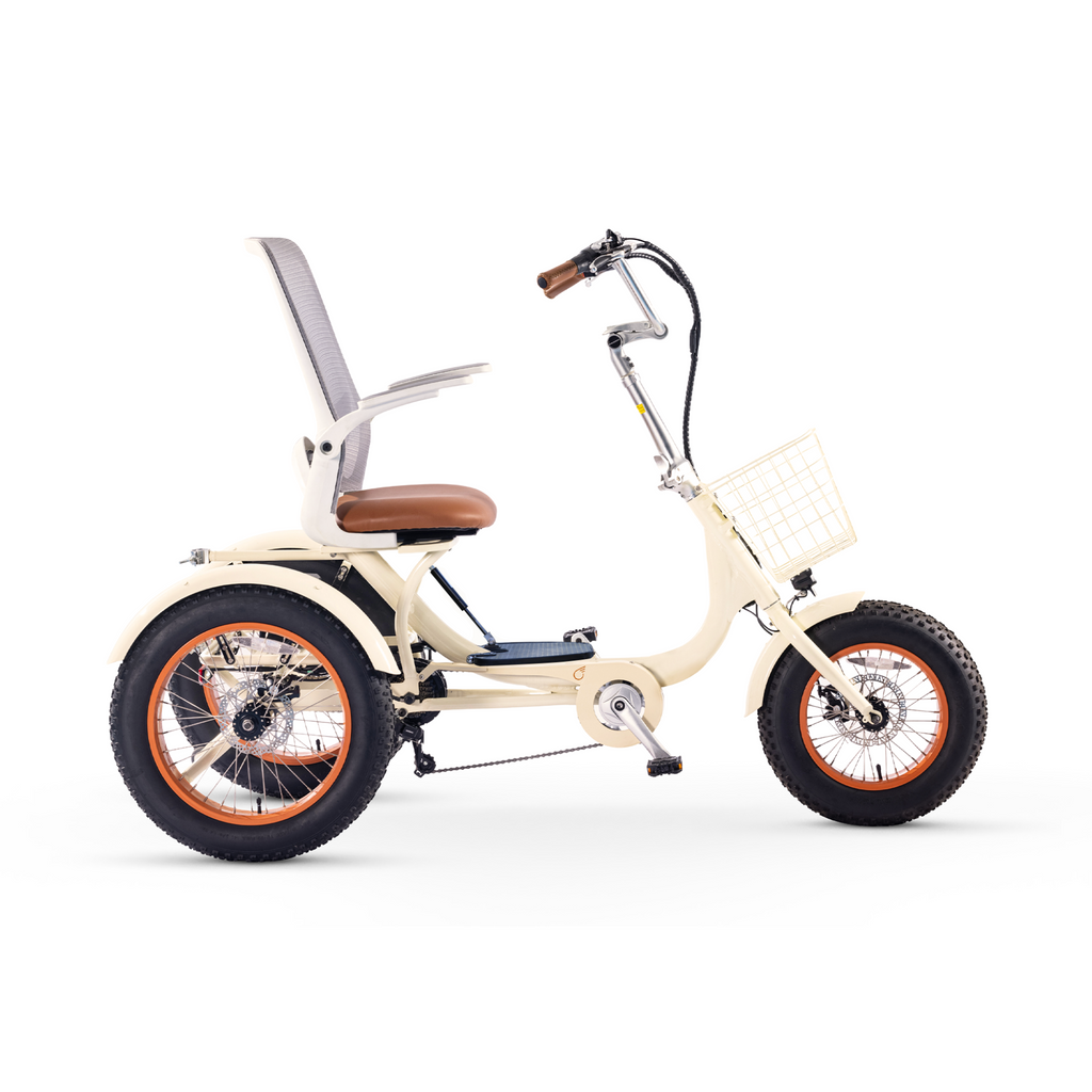 Simple Glide 750w Fat Tire ETrike Open Box Return