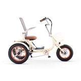 Simple Glide 750w Fat Tire ETrike Open Box Return