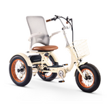 Simple Glide 750w Fat Tire ETrike Open Box Return