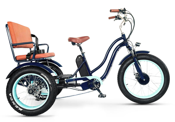EVRYjourney Electric Tricycle Rickshaw 750W Open Box Return