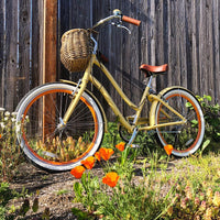 Instagram Gallery View Additional