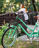 Instagram Gallery View Additional