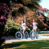 Instagram Gallery View Additional