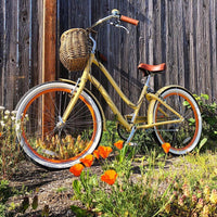 Instagram Gallery View Additional